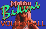 Malibu Bikini Volleyball Title Screen